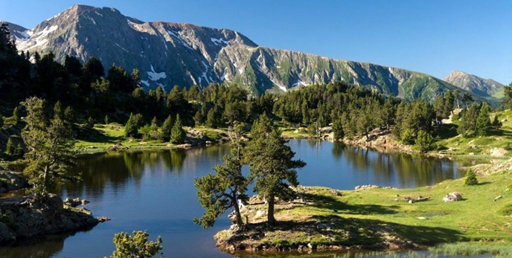 Trail et faune sauvage –  La nature dérangée