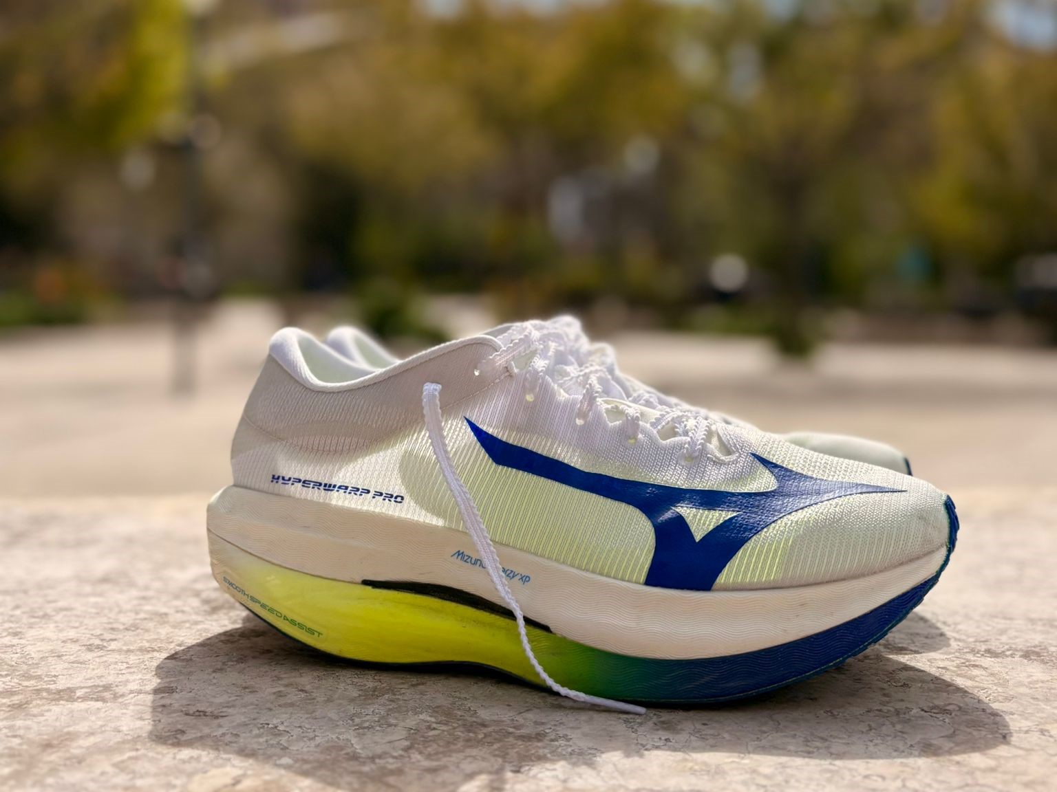 PÜLS/PULS - Thumbnail