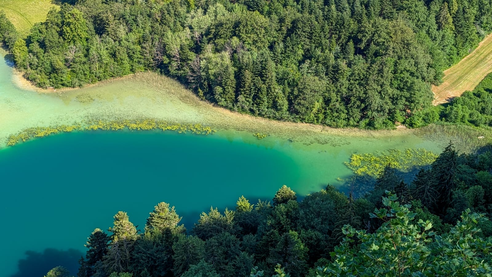 Que faire dans le Jura en 3 jours ? Mon itinéraire nature